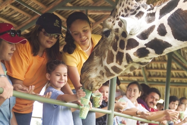 salidas por la ciduad